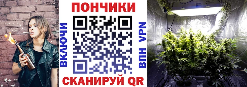Шишки марихуана конопля Осташков